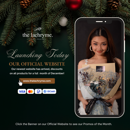 The Lachryme Official Website Launch